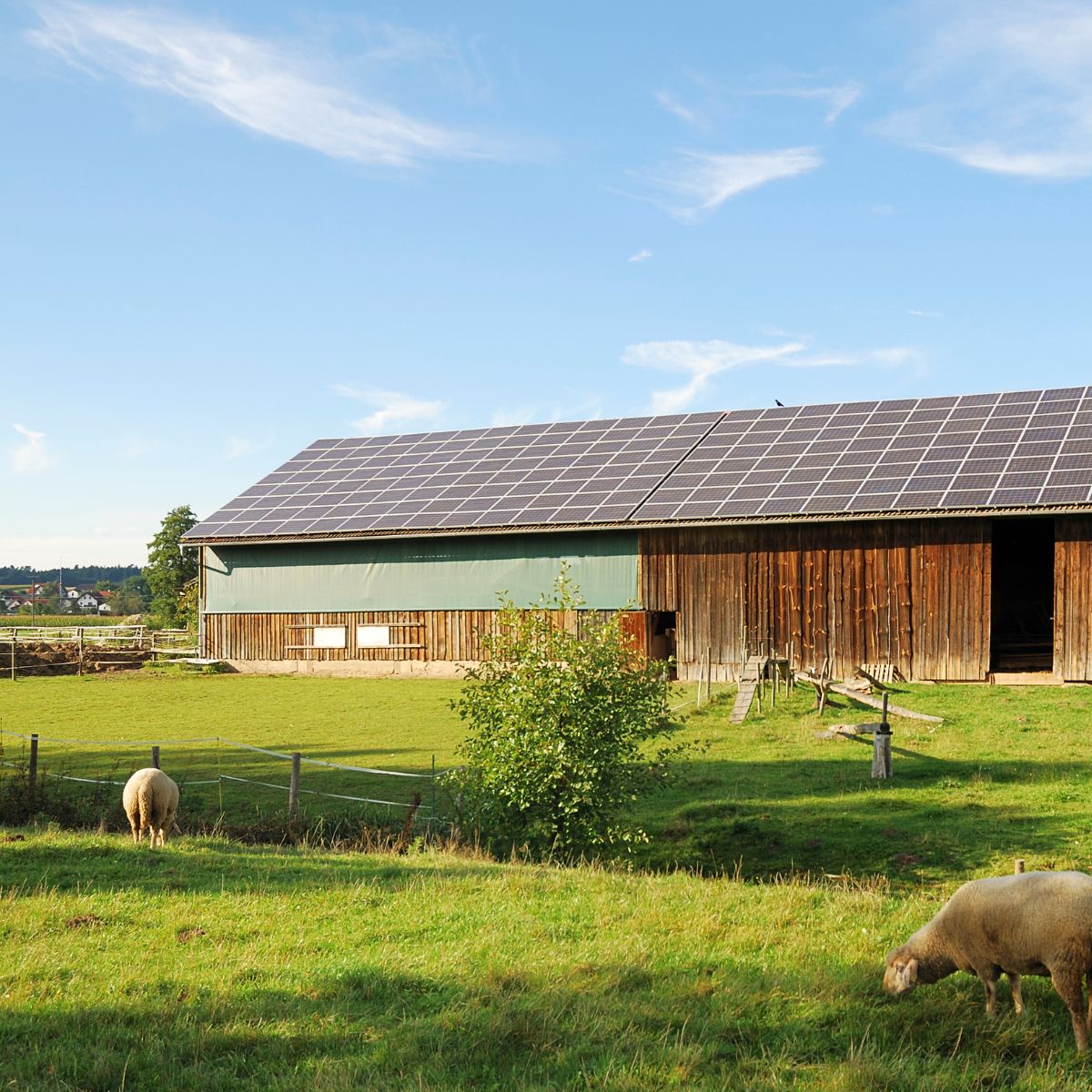 rénovation tertiaire